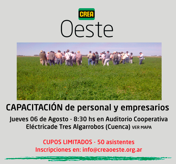 Imagen prinicpal del artículo