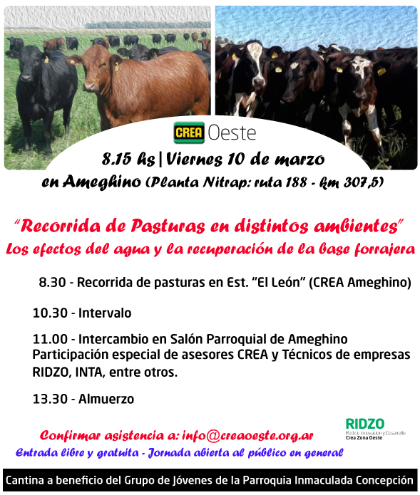 Imagen prinicpal del artículo