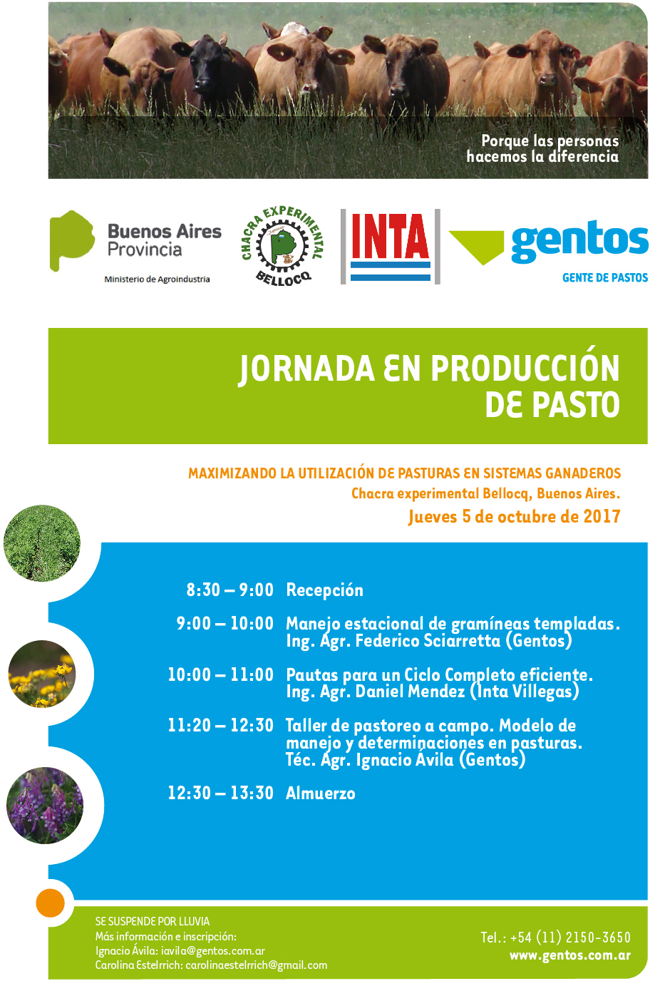 Imagen prinicpal del artículo