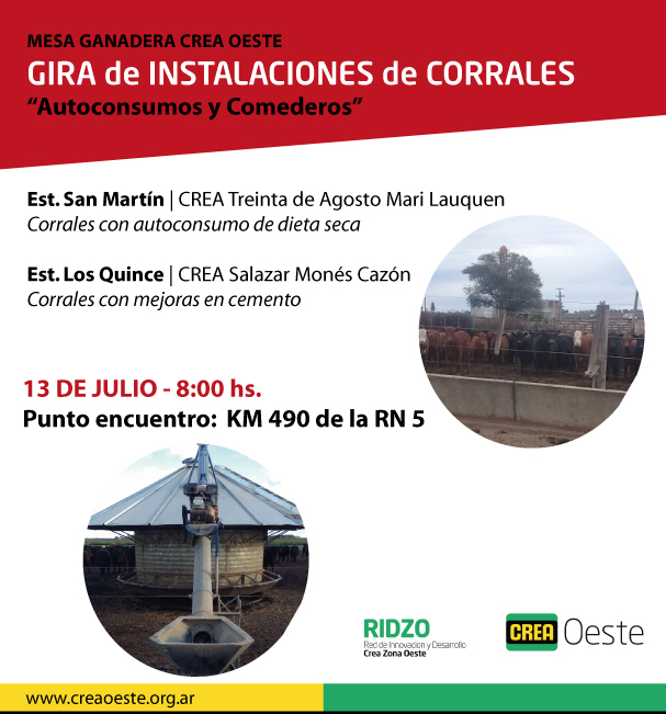 Imagen prinicpal del artículo