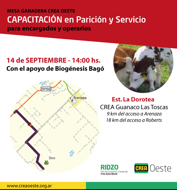 Imagen prinicpal del artículo