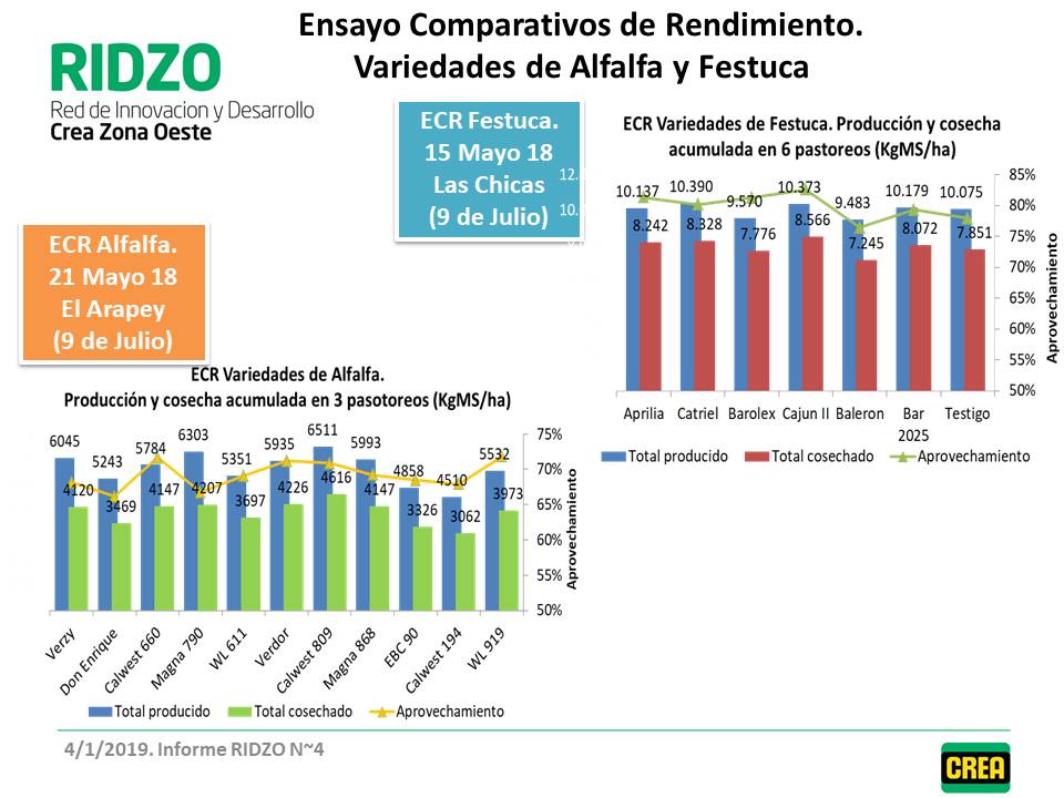 Imagen prinicpal del artículo