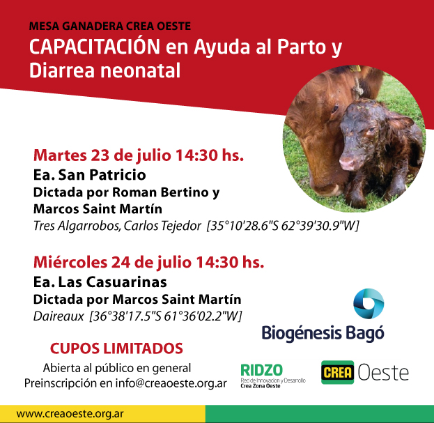 Imagen prinicpal del artículo