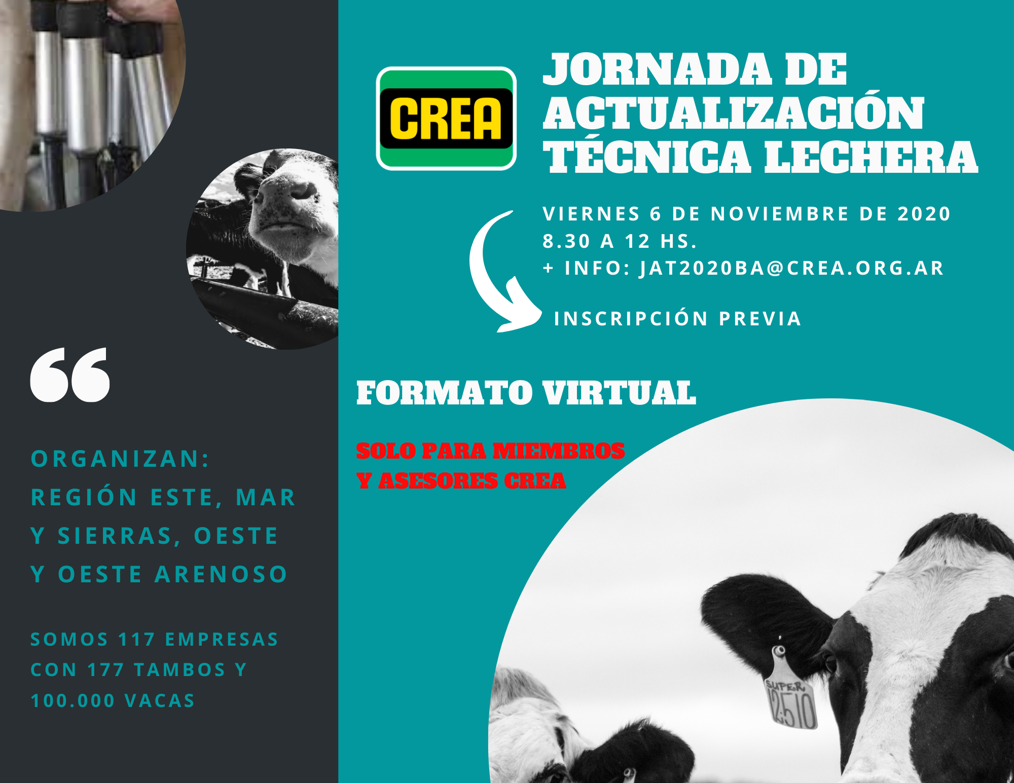 Imagen prinicpal del artículo