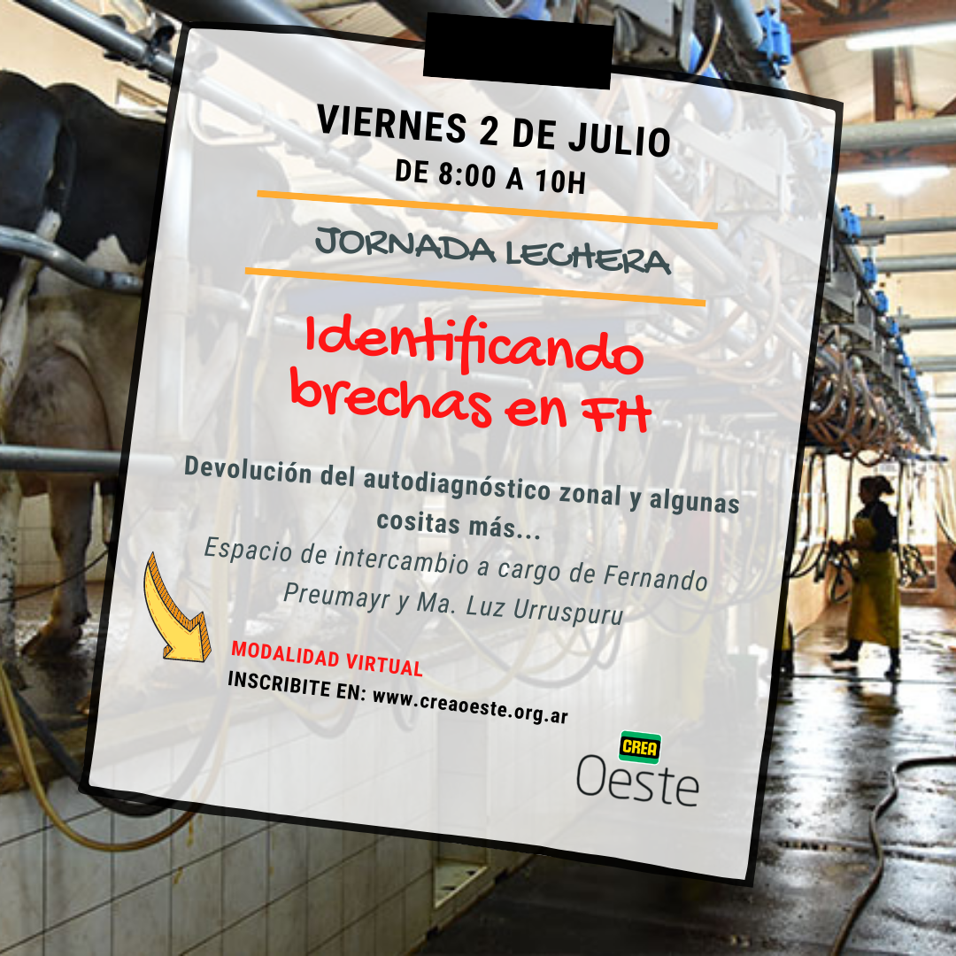 Imagen prinicpal del artículo