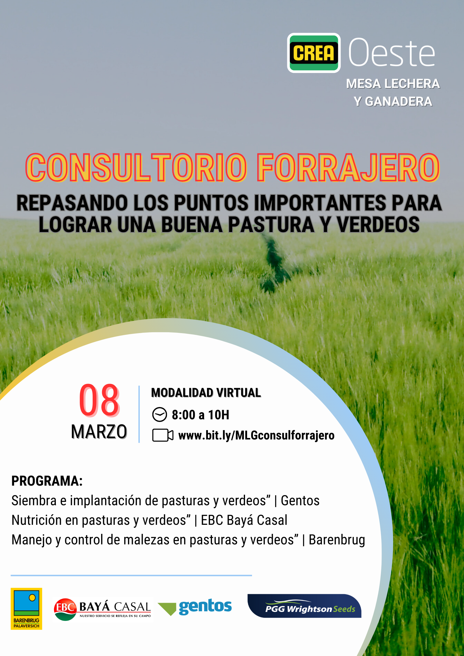 Imagen prinicpal del artículo