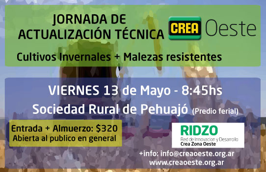 Imagen prinicpal del artículo