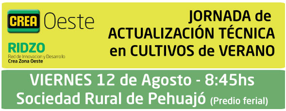 Imagen prinicpal del artículo