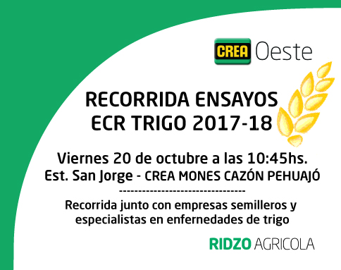 Imagen prinicpal del artículo