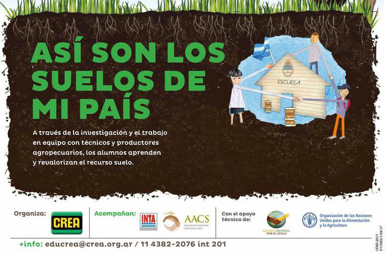Imagen prinicpal del artículo