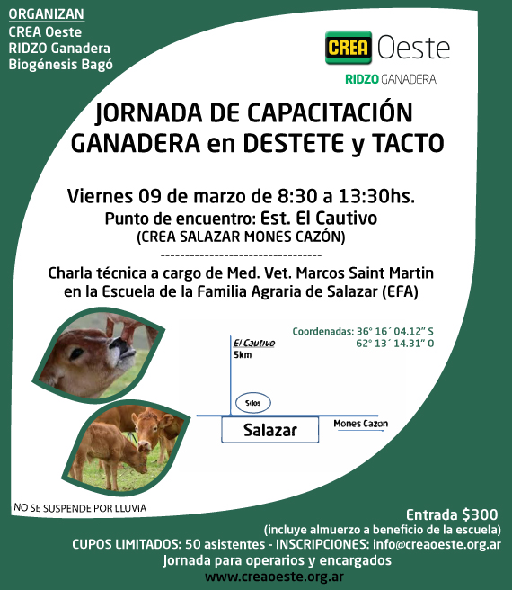 Imagen prinicpal del artículo