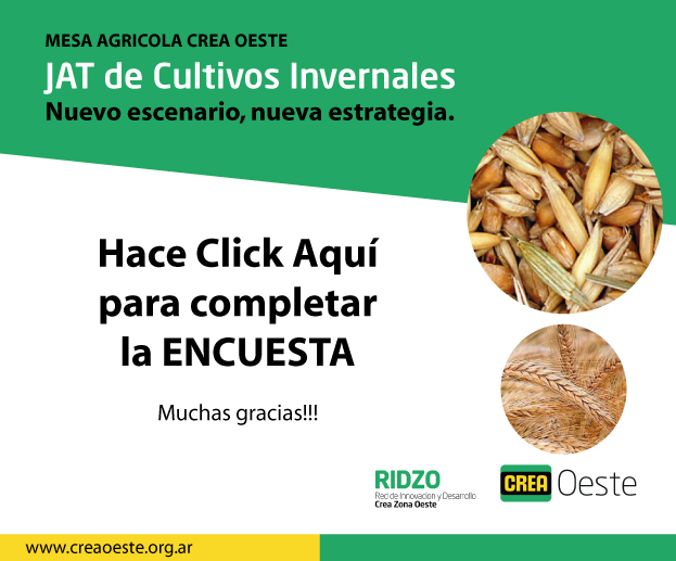 Imagen prinicpal del artículo