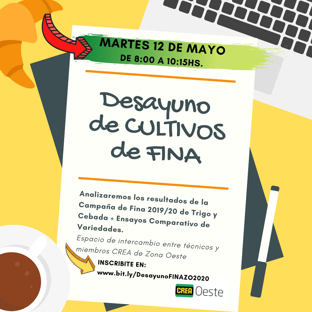Imagen prinicpal del artículo