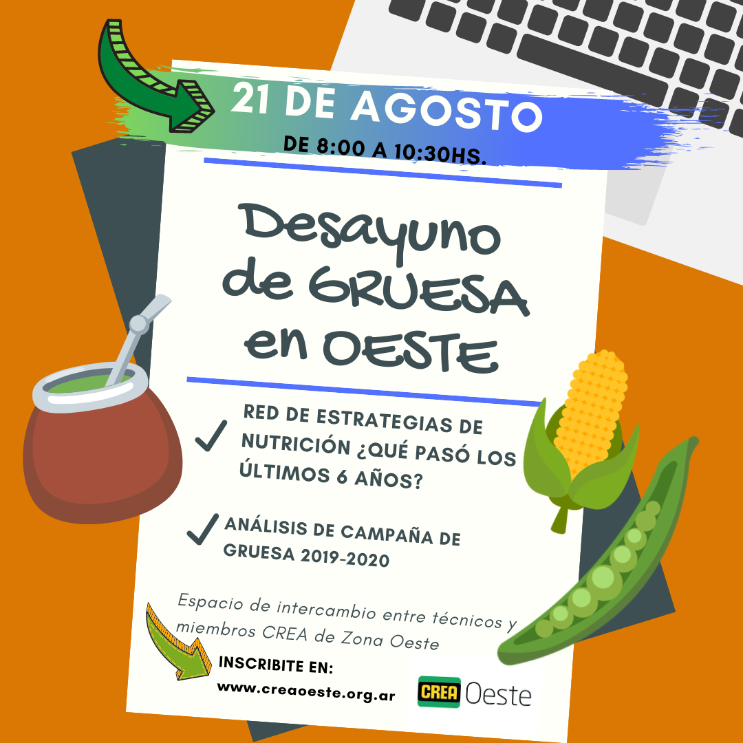 Imagen prinicpal del artículo