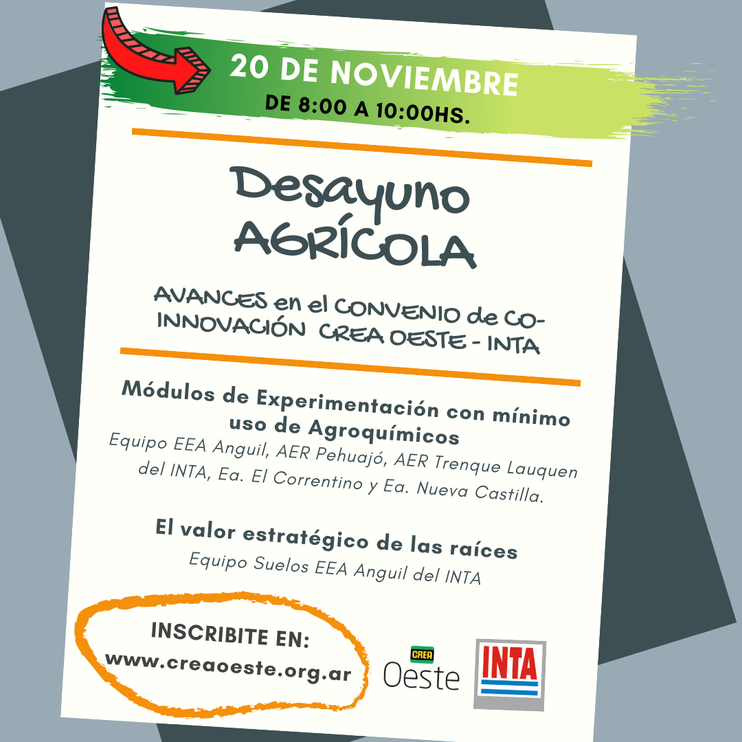 Imagen prinicpal del artículo