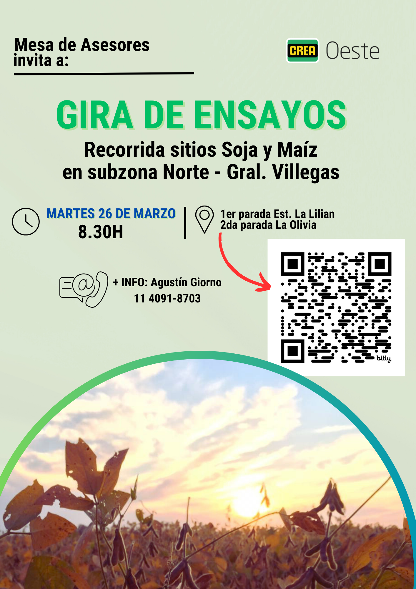 Imagen prinicpal del artículo